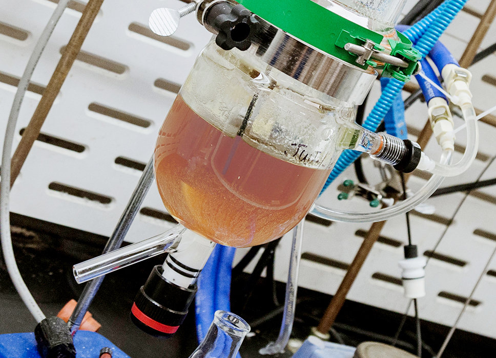 Chemical preparation at VCU's Medicines for All Institute