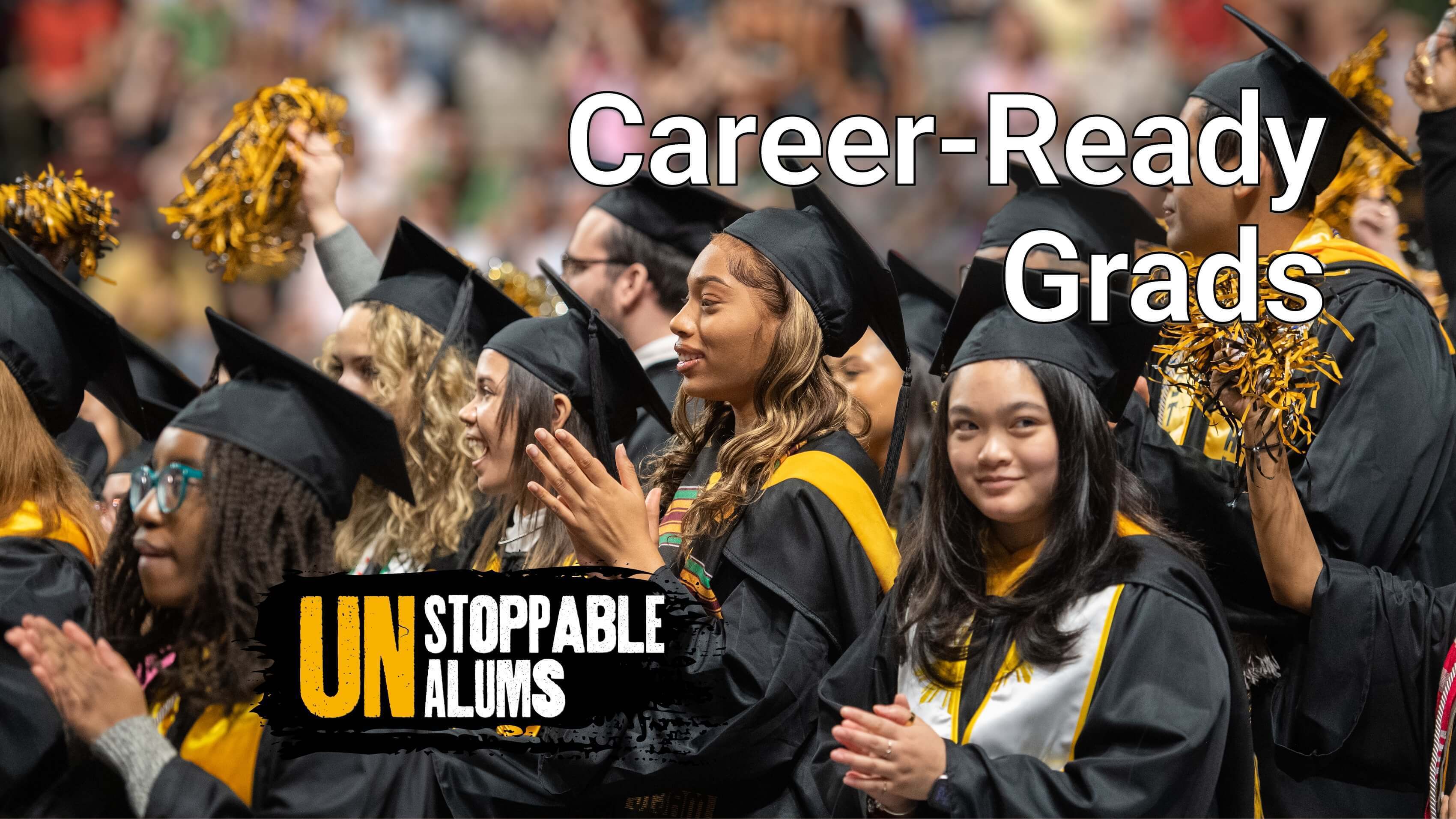 Chapter---Career